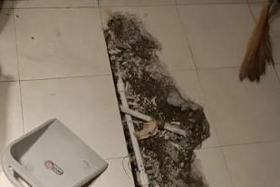 双滦卫生间漏水检测电话